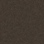 スモークブラック 塗り壁調  防かび 抗菌  サンゲツ RE55100 