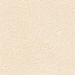 ベージュ 塗り壁調  防かび 抗菌  サンゲツ RE55175 旧品番RE53073