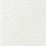 ホワイト 塗り壁調  抗ウィルス 抗菌 防かび  サンゲツ RE55339 