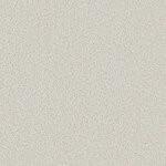 ライトグレー 塗り壁調  抗アレルギー 防かび  サンゲツ RE55362 