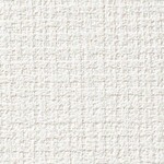 シャドーホワイト 織物調  汚れ防止 抗菌 防かび  サンゲツ RE55443 旧品番RE53709