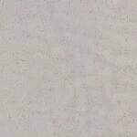 ライトグレー コンクリート・モルタル  防かび 抗菌 撥水  サンゲツ RE55626 