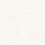 アイボリー 塗り壁調  防かび  サンゲツ RE55691 