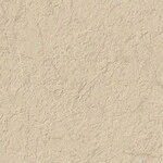 ベージュ 塗り壁調  防かび  サンゲツ RE55692 旧品番RE53409