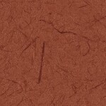 レッド 塗り壁調  防かび  サンゲツ RE55694 