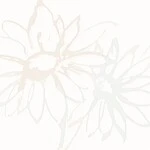 シャドーホワイト フラワー  防かび 抗菌 撥水  サンゲツ RE55823 
