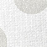 ライトグレー ドット  防かび  サンゲツ RE55856 旧品番RE53613