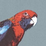 ブルー キャラクター＆イラスト  防かび  サンゲツ RE55942 