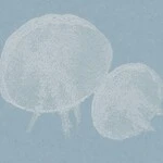 ライトブルー キャラクター＆イラスト  防かび  サンゲツ RE55955 