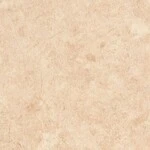 ライトブラウン ノンワックスコーティング+衝撃吸収＋抗菌+抗ウイルス+消臭 サンゲツ SK-22071 旧品番SK-20077