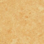 オレンジ ノンワックスコーティング+衝撃吸収＋抗菌+抗ウイルス+消臭 サンゲツ SK-22079 旧品番SK-20085