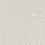 ライトグレー 織物調  防かび 抗菌  サンゲツ TH34169