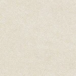 ベージュ 塗り壁調  抗ウィルス 抗菌 防かび  サンゲツ TH34278