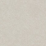 グレー 塗り壁調  抗ウィルス 抗菌 防かび  サンゲツ TH34279