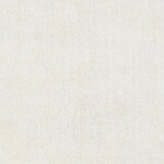 ライトグレー 塗り壁調  防かび  サンゲツ TH34294