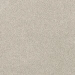 ライトグレー 塗り壁調  防かび 抗菌  サンゲツ TH34298