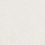 シャドーホワイト 塗り壁調 ウレタンコート 防かび 抗菌 表面強化 撥水  サンゲツ TH34383