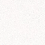 ホワイト 塗り壁調  消臭 抗菌 防かび  サンゲツ TH34395