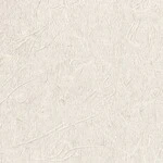 シャドーホワイト 塗り壁調 ウレタンコート 抗菌 表面強化 防かび  サンゲツ TH34809