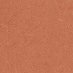 オレンジ 塗り壁調 ウレタンコート 抗菌 表面強化 防かび  サンゲツ TH34814