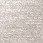 ベージュ 塗り壁調 消臭 防かび   ルノン C22-2120