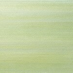 グリーン 織物調 消臭 防かび   ルノン C22-2165