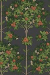 ブラック フラワー Cole＆Son  1ロール10m 117/1003 輸入壁紙