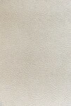 シャドーホワイト 抽象デザイン BN WALLS  1ロール10m 220501 輸入壁紙