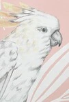 ピンク キャラクター＆イラスト WALLQUEST  1ロール10m RY30101 輸入壁紙