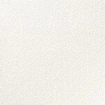ライトアイボリー 織物調 消臭 防かび   ルノン RF8080