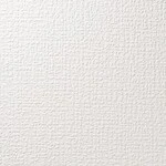アイボリー 塗り壁調 消臭  透湿性 防かび   ルノン RF8086