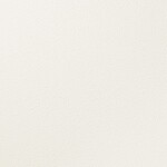 ホワイト 塗り壁調 防かび  表面強化 撥水 消臭   ルノン RF8088