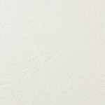 アイボリー 塗り壁調 防かび  表面強化 撥水 消臭   ルノン RF8167