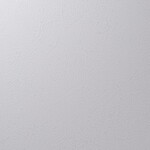 ライトグレー 塗り壁調 汚れ防止 抗菌 表面強化 防かび   ルノン RF8263