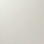 ライトグレー 塗り壁調 汚れ防止 抗菌 表面強化 防かび   ルノン RF8276