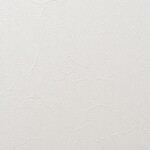 アイボリー 塗り壁調 汚れ防止 抗菌 表面強化 防かび   ルノン RF8285