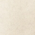 ベージュ 塗り壁調 抗アレルギー 防カビ   ルノン RF8355