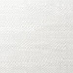 ホワイト 織物調 抗アレルギー 防カビ   ルノン RF8361