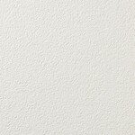 アイボリー 塗り壁調 防かび 表面強化 消臭 透湿性   ルノン RF8368