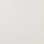アイボリー 塗り壁調 防かび 表面強化 消臭 透湿性   ルノン RF8368