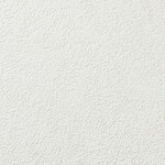 ライトアイボリー 塗り壁調 防かび 表面強化 消臭 透湿性   ルノン RF8369