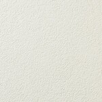 アイボリー 塗り壁調 防かび 表面強化 消臭 透湿性   ルノン RF8370