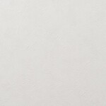 ライトグレー 塗り壁調 吸放湿性 透湿性 防かび   ルノン RF8376