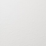 ホワイト 塗り壁調 防かび 抗菌 撥水   ルノン RH-9001