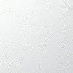 シャドーホワイト 塗り壁調 消臭 抗菌 防かび   ルノン RH-9024