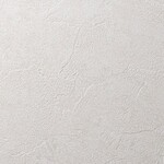 ベージュ 塗り壁調 消臭 防かび   ルノン RH-9033