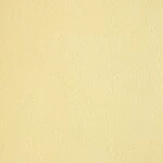 イエロー 塗り壁調 消臭 抗菌 防かび   ルノン RH-9047
