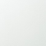 ホワイト 塗り壁調 消臭 防かび   ルノン RH-9058