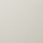 グリーン 塗り壁調 防かび 抗菌 表面強化 撥水 消臭   ルノン RH-9068