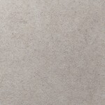 ライトグレー コンクリート・モルタル 防かび   ルノン RH-9257